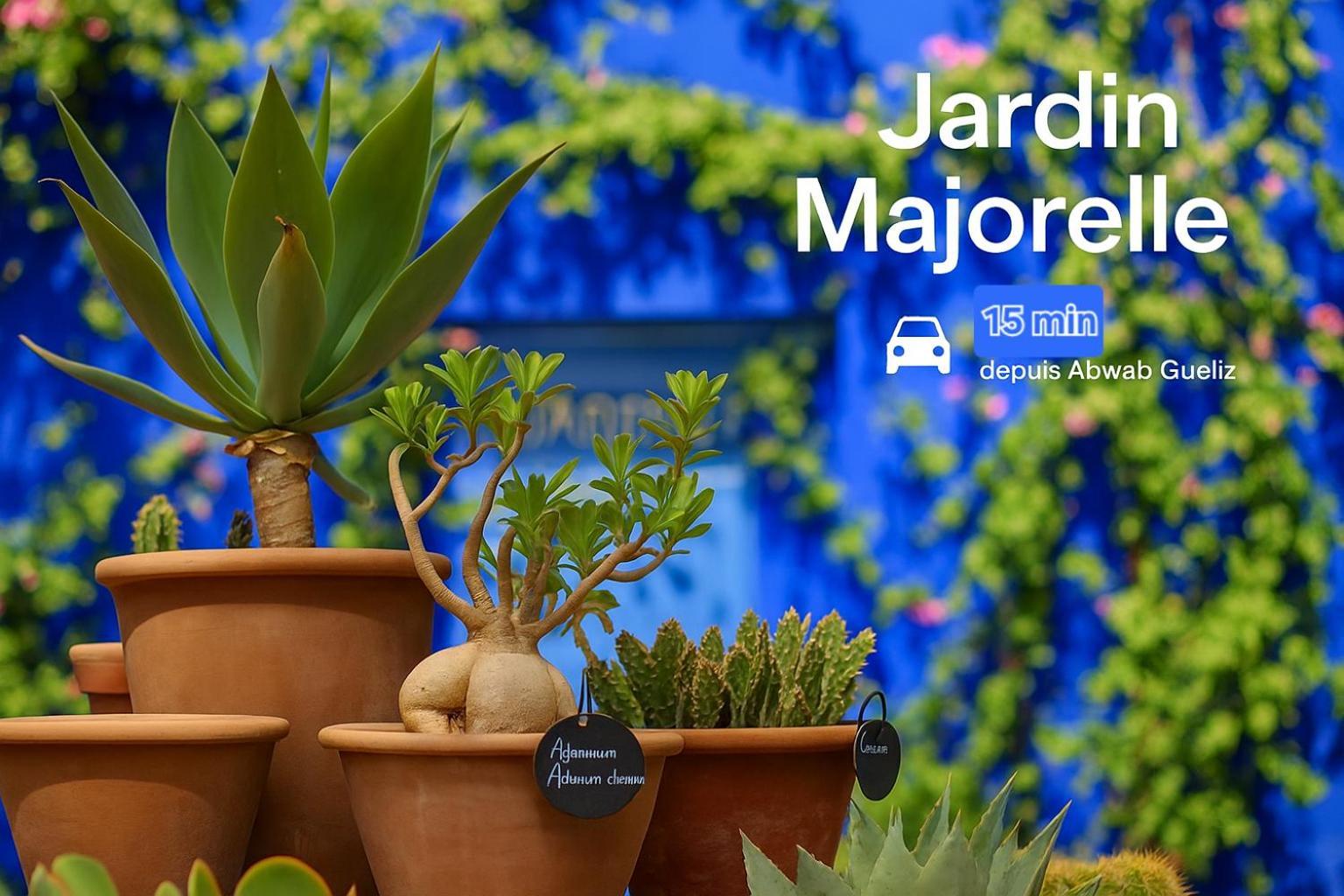 Turquoise A Marrakech - Elegant & Cosy * Marrakesh