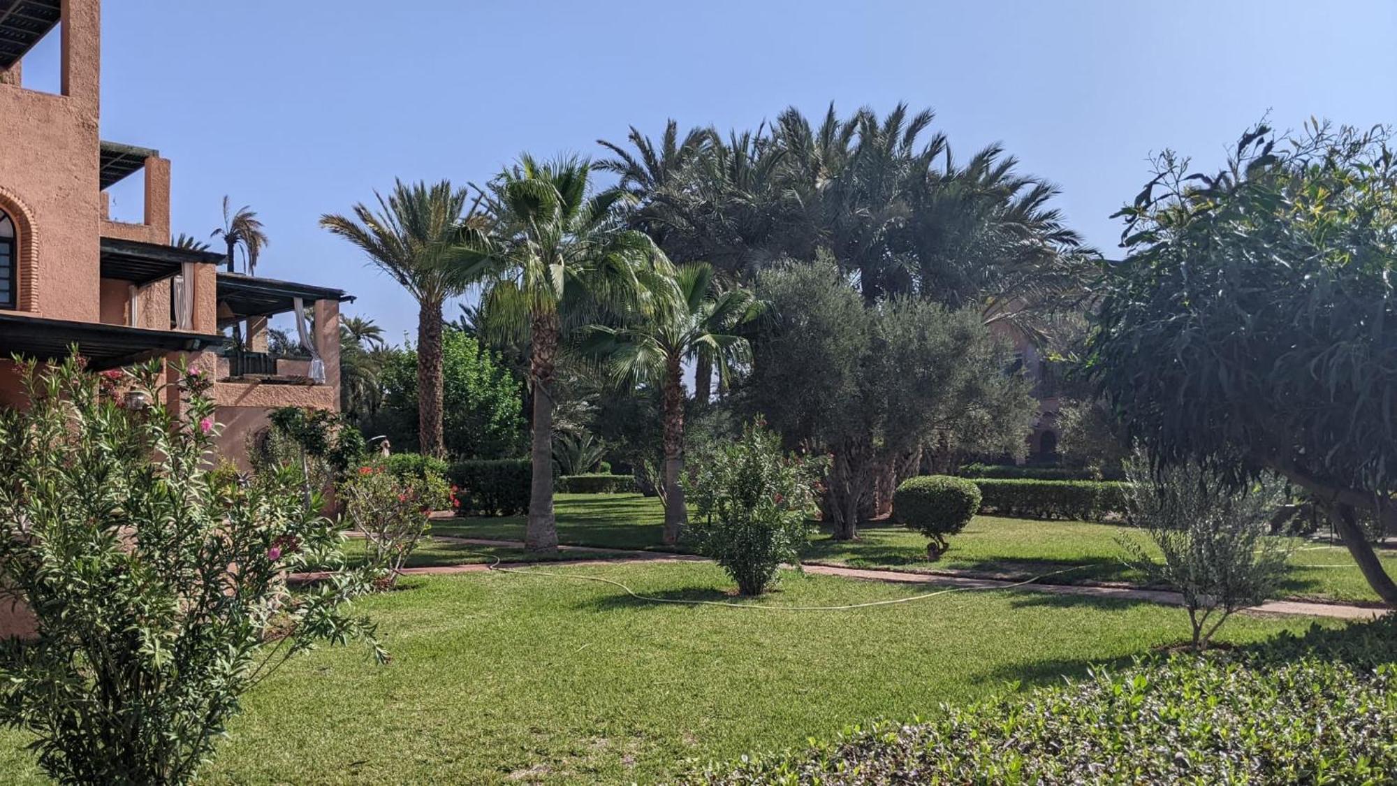 Appartement Palmeraie