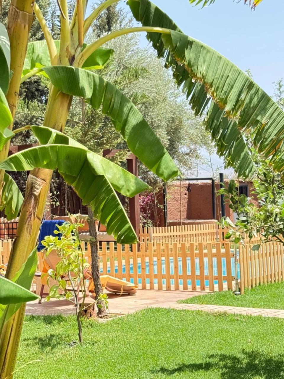 Villa Ilafe Farmhouse, Avec Piscine Chauffee Privee Et Jacuzzi Pour Familles *