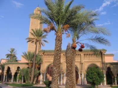 Riad Hanafi