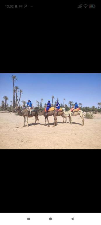 Hanafi Riad *