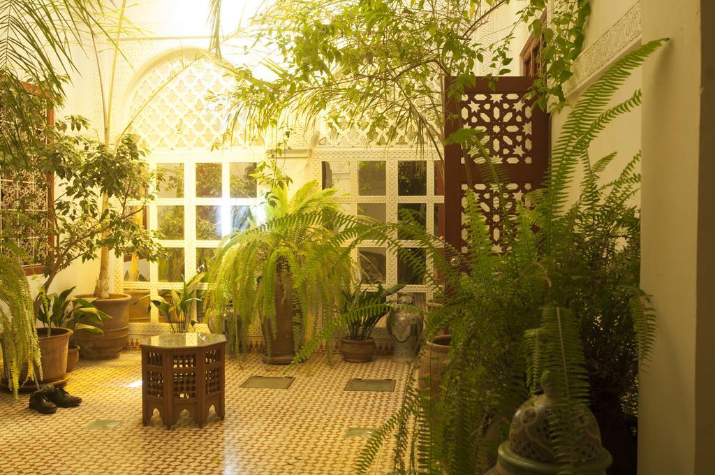 Ifoulki Riad 3*