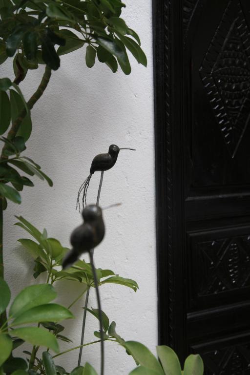 Riad Dar Zampa 2*