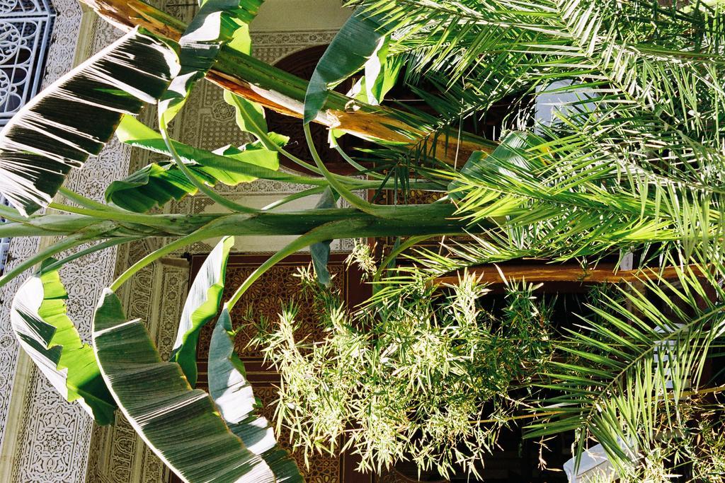 Riad Jardin Secret