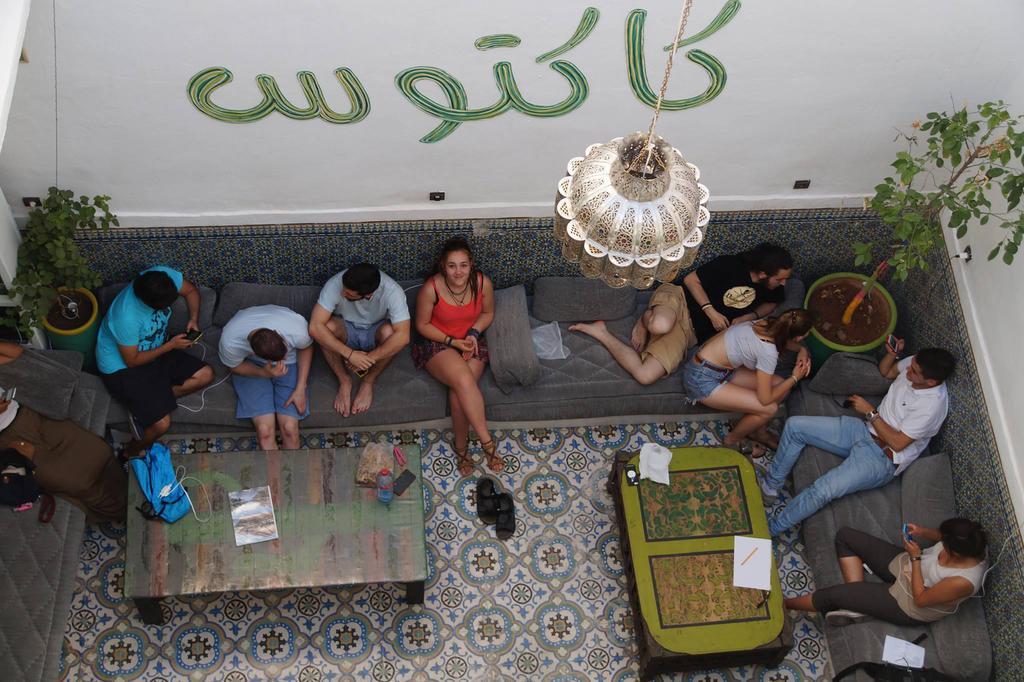 Kaktus Marrakesh