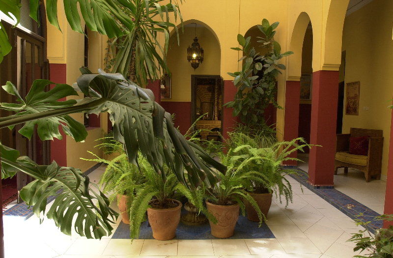 Dar Naima 3* Marrakesh