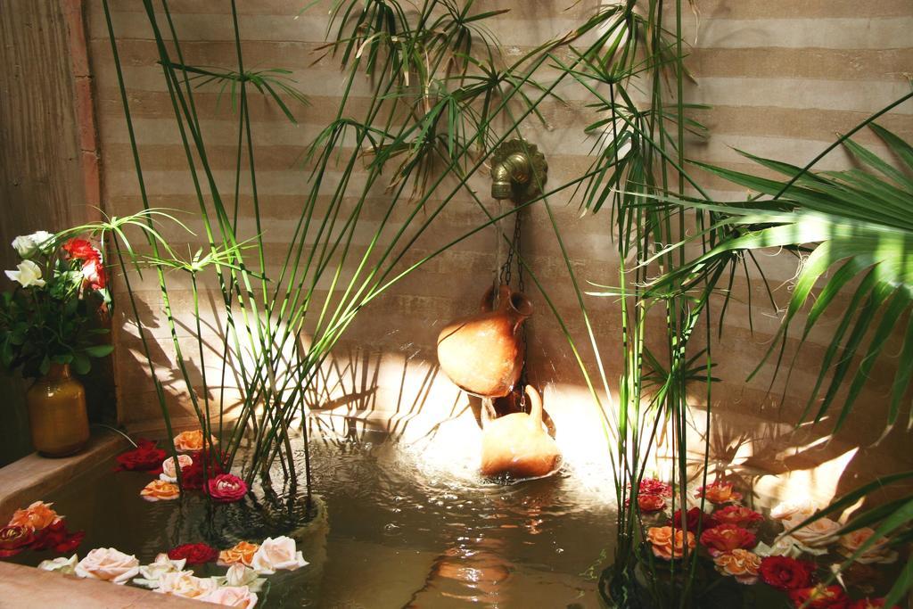 Riad Carina Riad