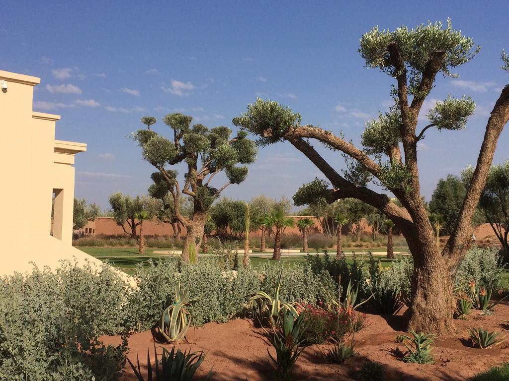 Ramses Villa