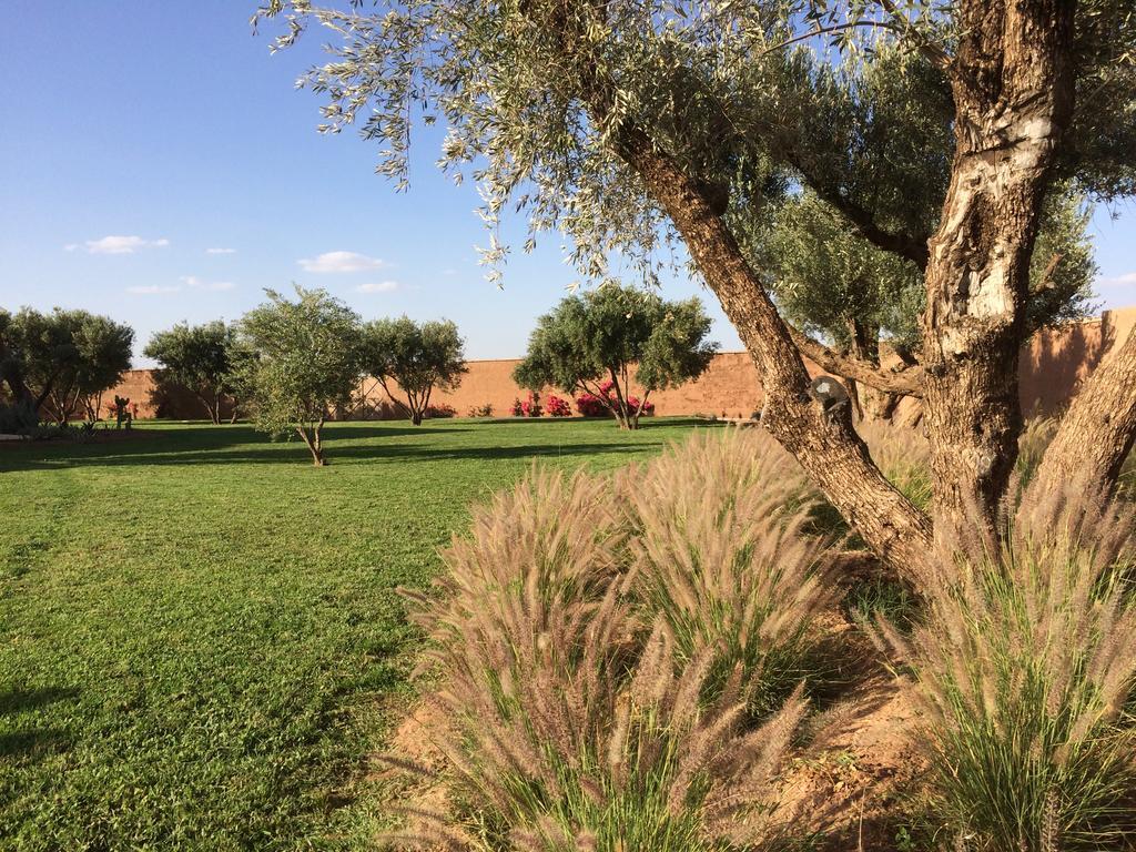Ramses Villa