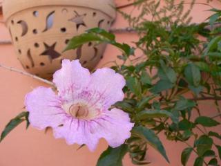 Appartement Nerja Marrakesh