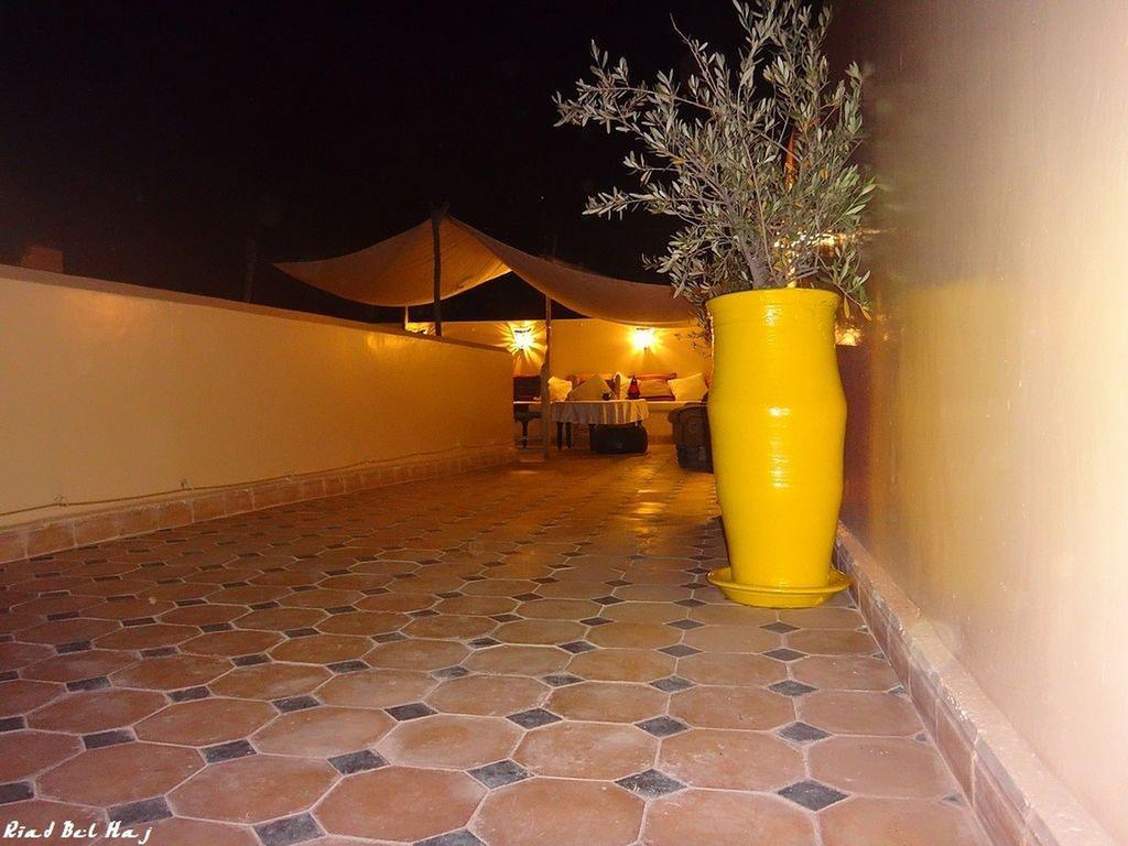 Bel Haj Riad