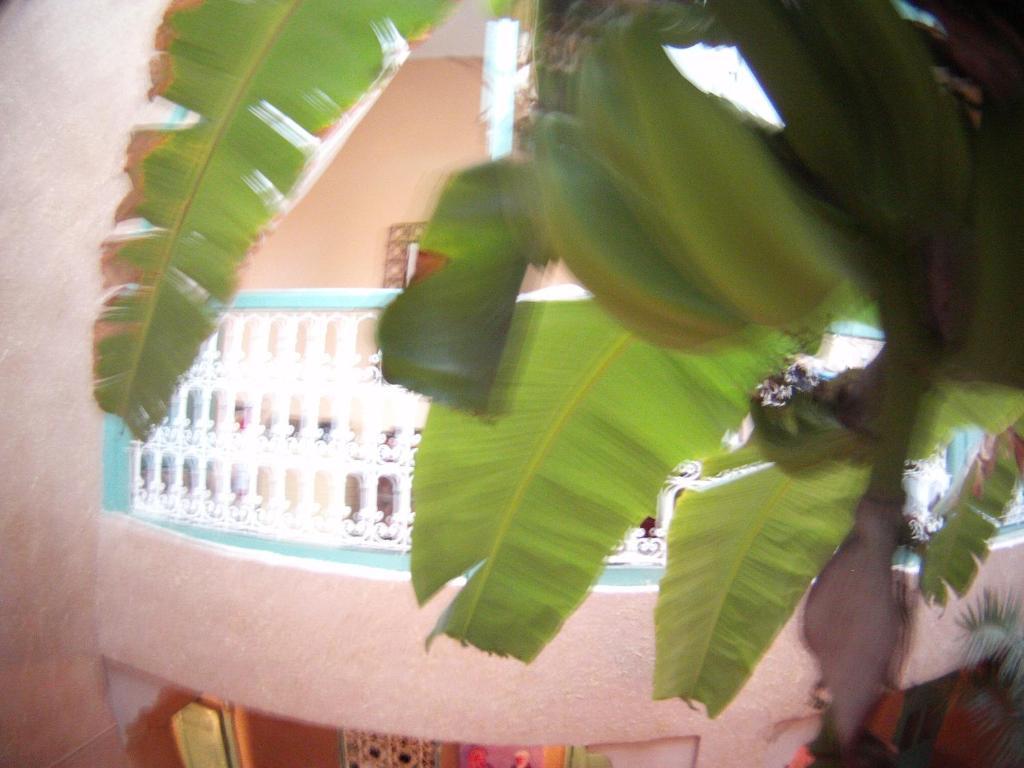 Riad Dar Mchicha