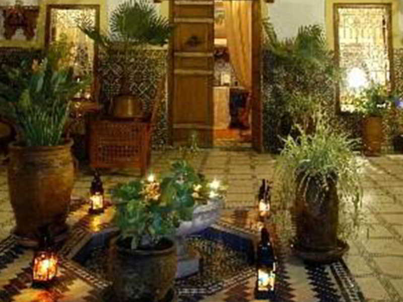 Dalia Riad 3*