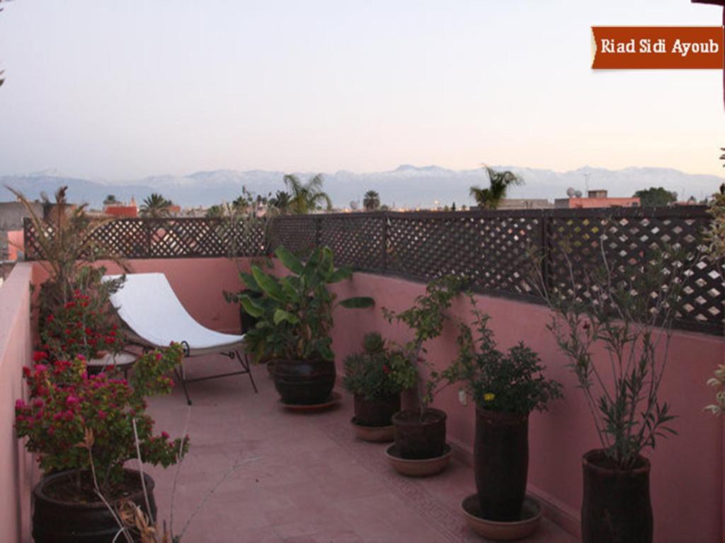 Riad Riad Sidi Ayoub