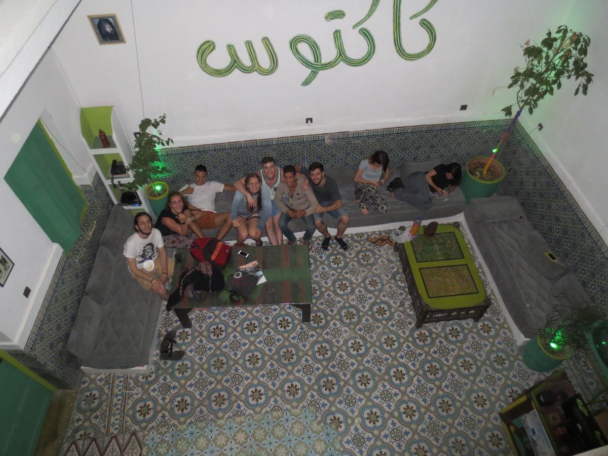 Kaktus