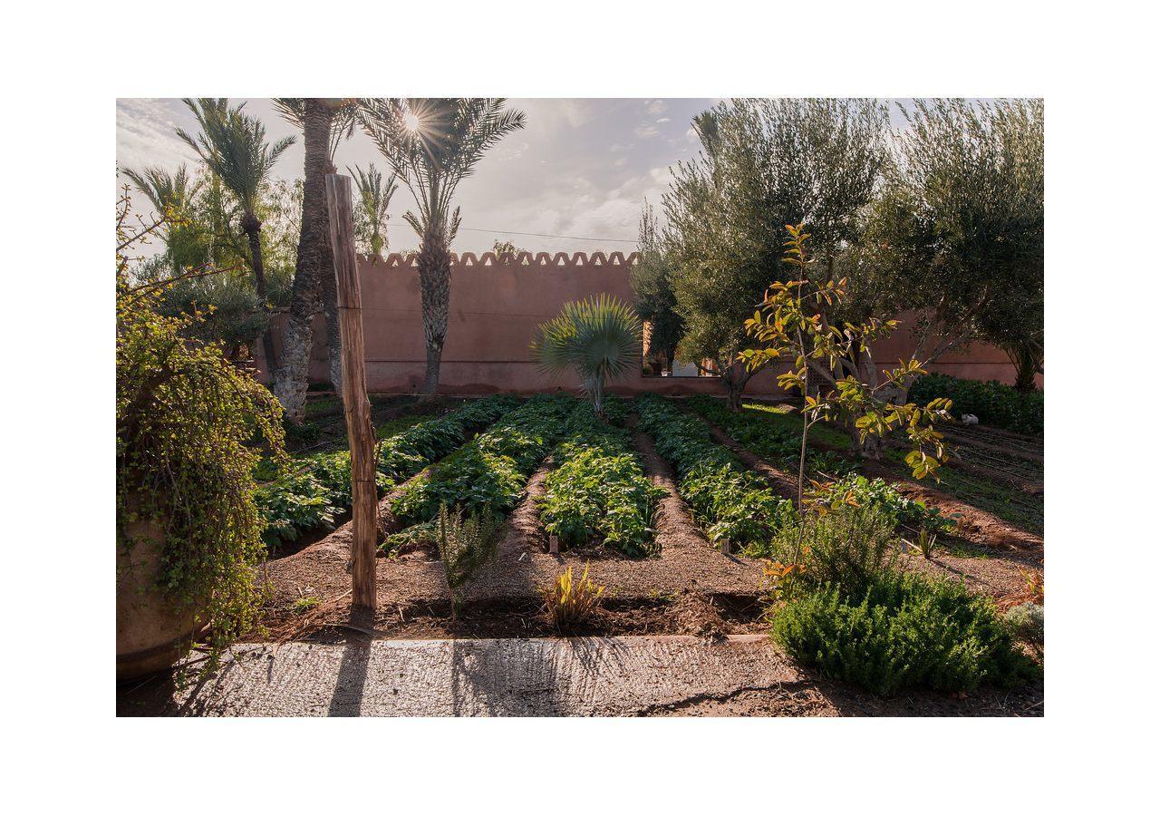 55 Marrakech 3* Marrakesch