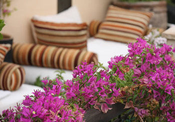 Riad Dar El Souk 3*