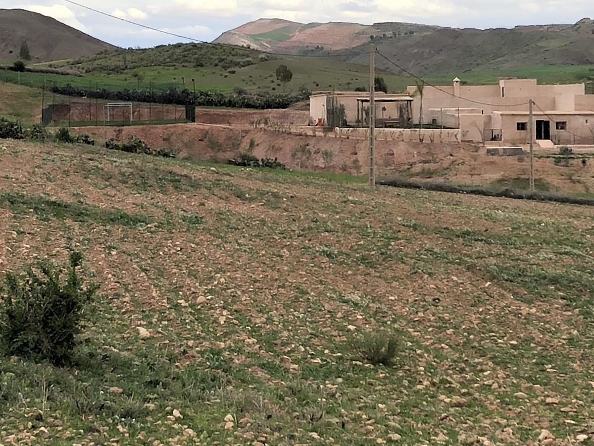 La Berbère