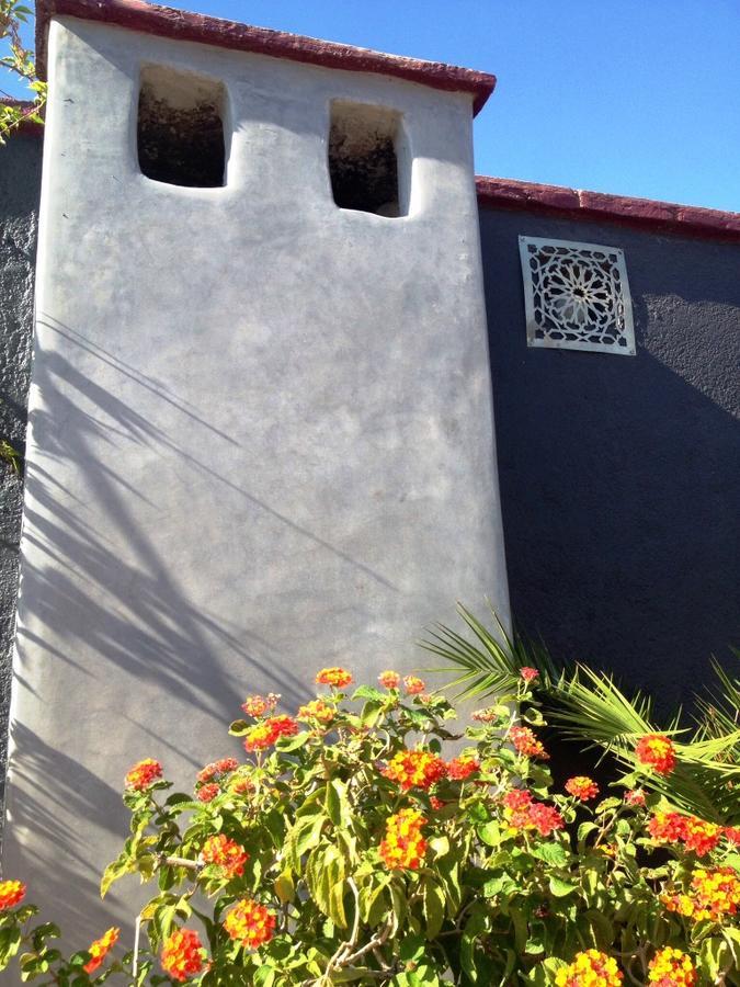 Serendip Riad