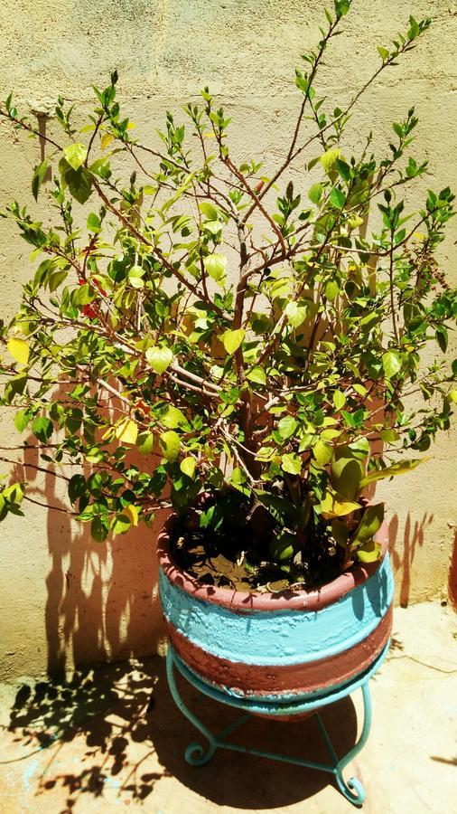 Riad 63 2*