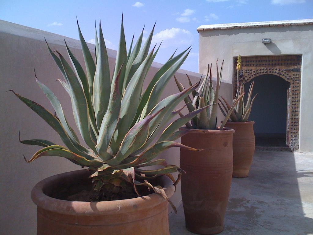 Riad Riad Due Marrakesh