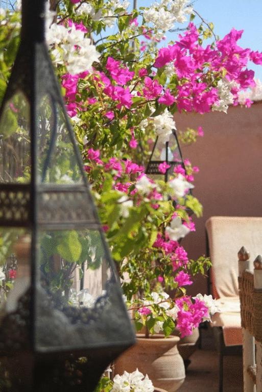 Al Andaluz Riad Marrakesh