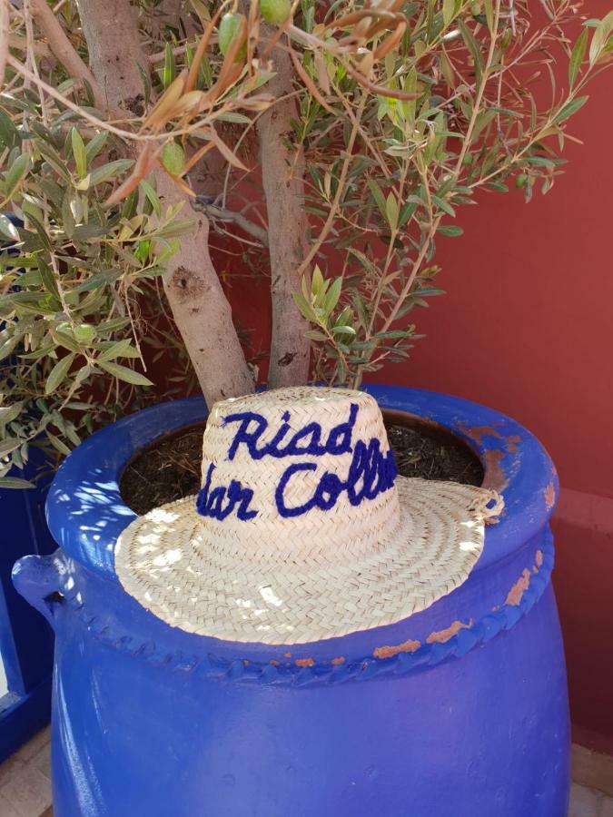 Dar Colline Riad Marrakesh