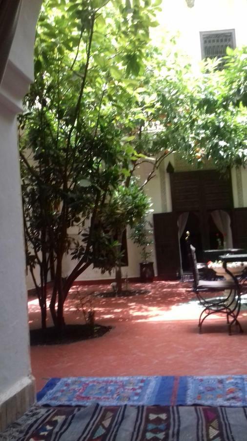 Riad Riad Sidi Ayoub