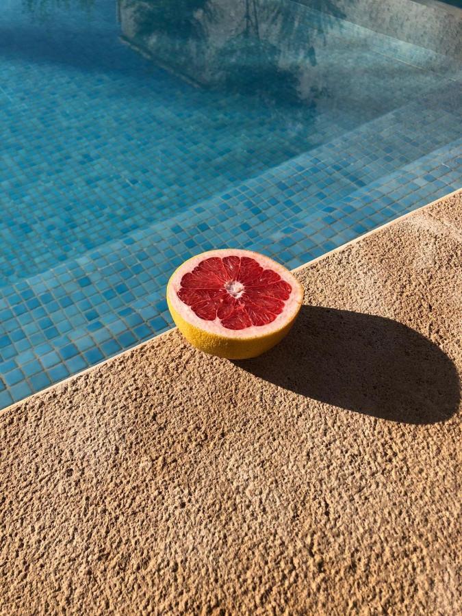 La Berbère Casa vacanze