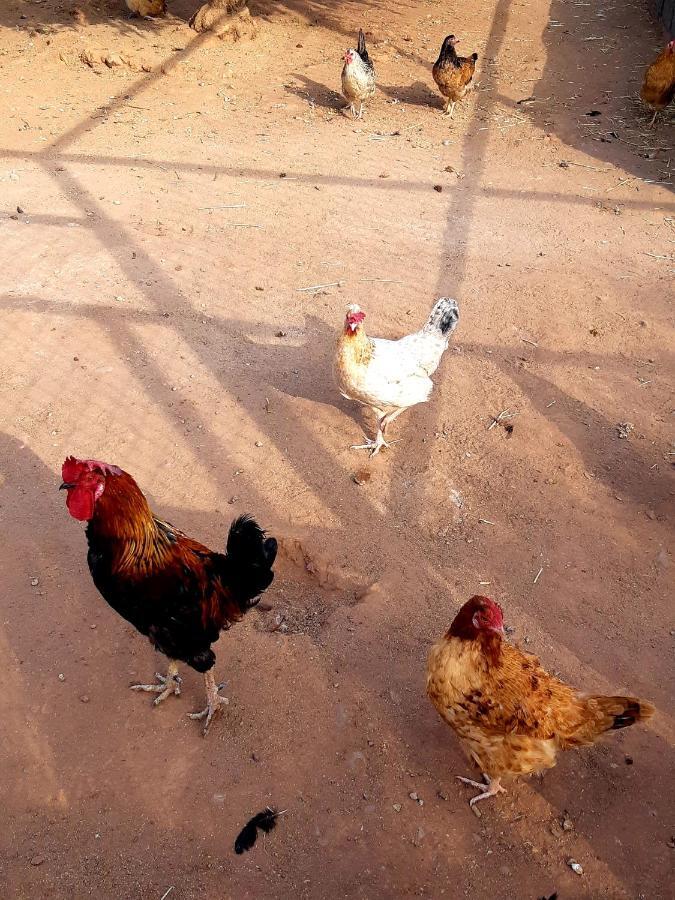 Hotel The Farm Marrakesh