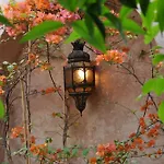 Ryad Dar Ganou
