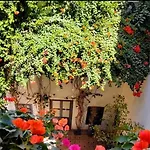 Bougainvillea Riad