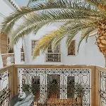 Dar Zelda