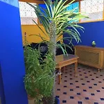Authentic Moroccan Charm Apartment In Marrakech Terrace