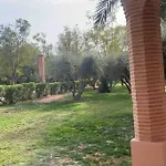 New Appartement In Palmeraie