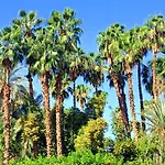 Superbe Apt Avec Vue Sur Les Jardins Majorelle, Face Au Musee Ysl, Rue Yves Saint Laurent