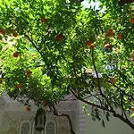 Ryad El Borj