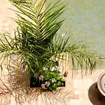 Riad Les Hibiscus