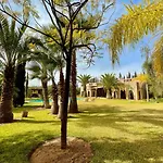 Dar Zeitoun
