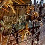 Riad The Moroccans Pool And Terrace