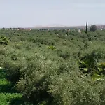 Marrakech Olive Haven