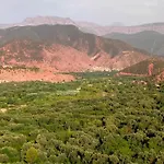 Marrakech Olive Haven