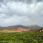 Marrakech Olive Haven