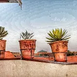 Hostel Dar Ben Youssef