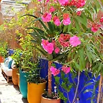 Rare : Superbe Appartement&Grande Terrasse Avec Vue Degagee Dans Le + Joli Quartier De Marrakech, Majorelle
