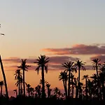 Authentic Family House In The Marrakesh Palm Grove