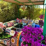 Villa Shambhala