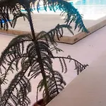 Belle Appartement Au Centre De Marrakech