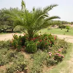 John\'S Place