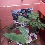 Riad Hanafi
